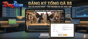 đăng ký tổng gà 88