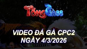 Video Đá Gà CPC2 Ngày 04/03/2026