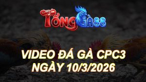 Video Đá Gà CPC3 Ngày 10/03/2026