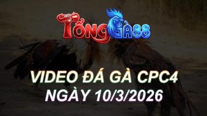 Video Đá Gà CPC4 Ngày 10/03/2026