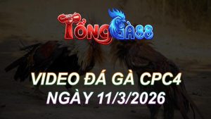 Video Đá Gà CPC4 Ngày 11/03/2026