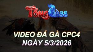 Video Đá Gà CPC4 Ngày 05/03/2026
