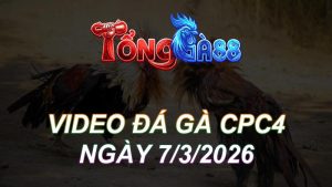 Video Đá Gà CPC4 Ngày 07/03/2026