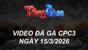 VIDEO ĐÁ GÀ CPC3 NGÀY 15/3/2026
