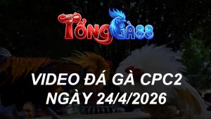 Video đá gà PHÁT LẠI CPC2 ngày 24/04/2026