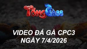 VIDEO ĐÁ GÀ CPC3 NGÀY 7/4/2026