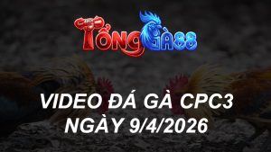 VIDEO ĐÁ GÀ CPC3 NGÀY 9/4/2026